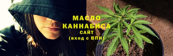 ECSTASY Богородицк