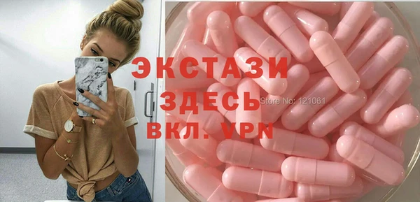 ECSTASY Богородицк