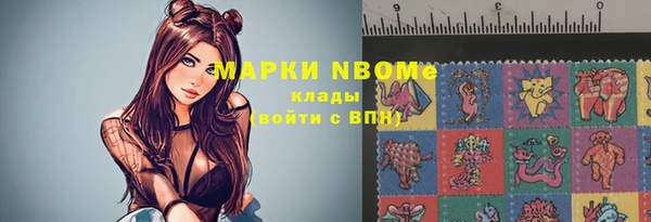 ECSTASY Богородицк