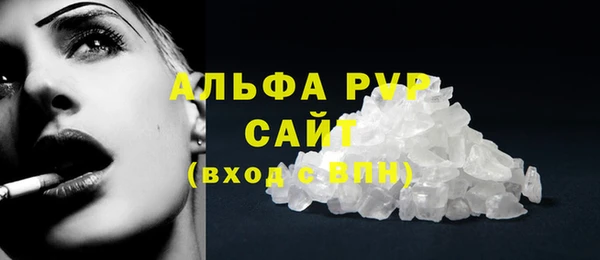 ECSTASY Богородицк