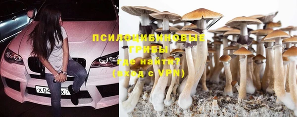 ALPHA-PVP Богданович
