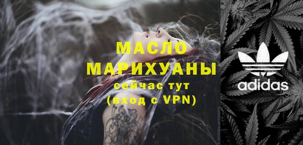 ECSTASY Богородицк