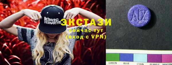 ECSTASY Богородицк