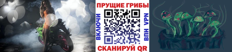Купить где  Куйбышев  Псилоцибиновые грибы GOLDEN TEACHER 