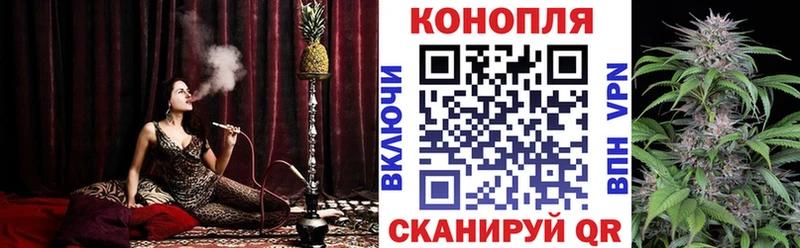 Бошки марихуана AK-47  Купить закладки  Куйбышев 